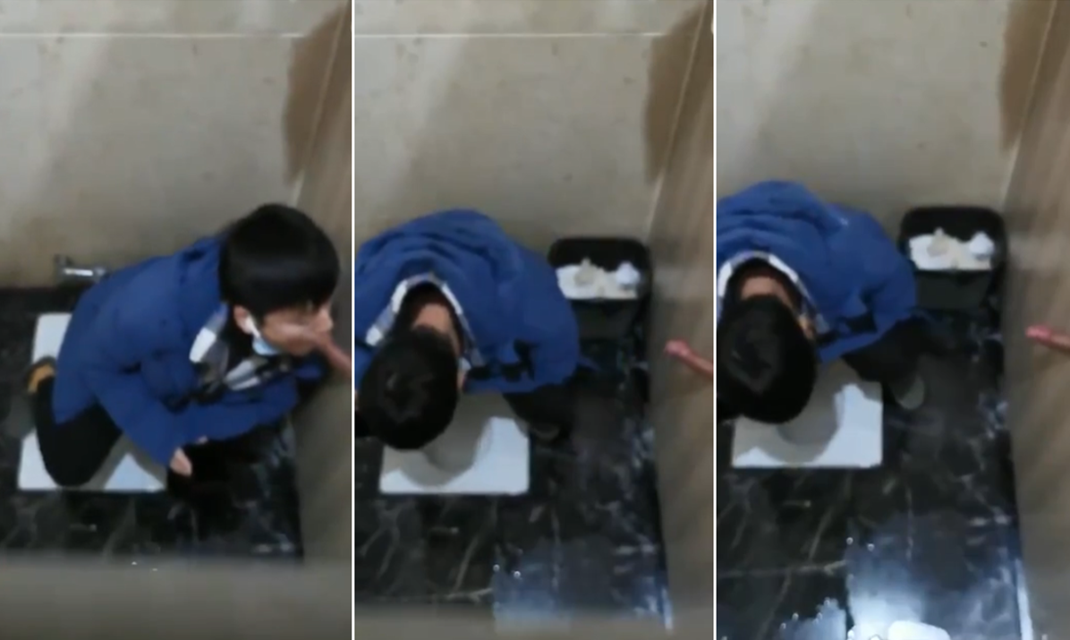 鸟洞，卧槽，太会玩了